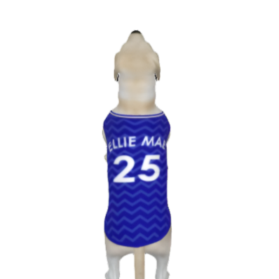 Everton FC 25/26 Home Kit Inspired Personalized Tank