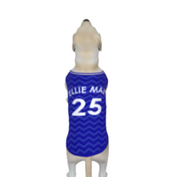 Everton FC 25/26 Home Kit Inspired Personalized Tank