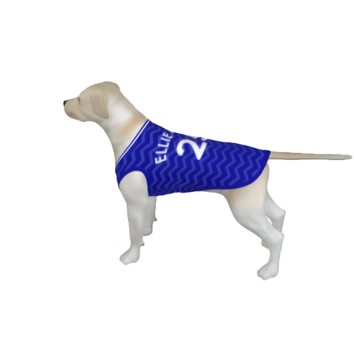 Everton FC 25/26 Home Kit Inspired Personalized Tank