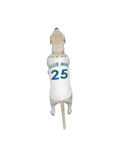 Leeds United FC 25/26 Home Kit Inspired Personalized Tank