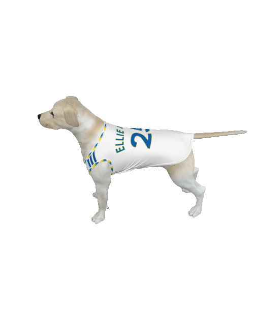 Leeds United FC 25/26 Home Kit Inspired Personalized Tank