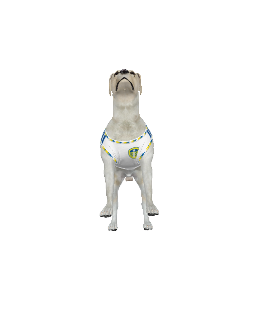Leeds United FC 25/26 Home Kit Inspired Personalized Tank