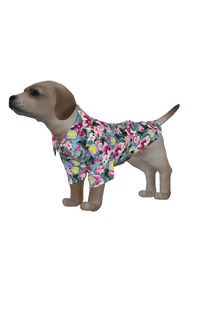 Aston Villa FC 25/26 Team-Inspired Pet Hawaiian Shirt (sizes M-3x)