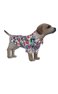 Aston Villa FC 25/26 Team-Inspired Pet Hawaiian Shirt (sizes M-3x)