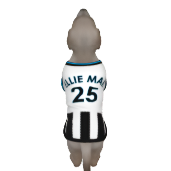 Newcastle United FC 25/26 Home Kit Inspired Personalized Tank