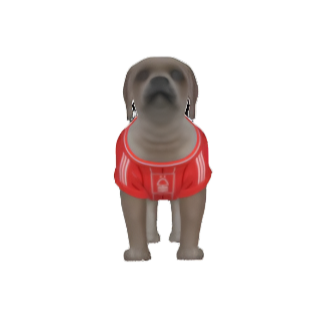 Nottingham Forest FC 25/26 Home Kit Inspired Personalized Tank