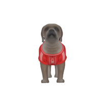 Southampton FC 25/26 Home Kit Inspired Personalized Tank