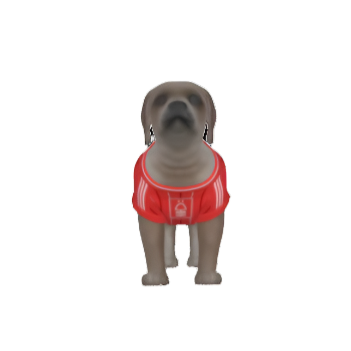 Southampton FC 25/26 Home Kit Inspired Personalized Tank