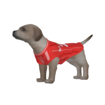 Southampton FC 25/26 Home Kit Inspired Personalized Tank