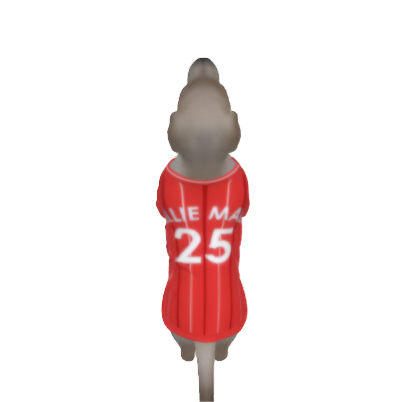 Nottingham Forest FC 25/26 Home Kit Inspired Personalized Tank