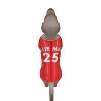 Southampton FC 25/26 Home Kit Inspired Personalized Tank