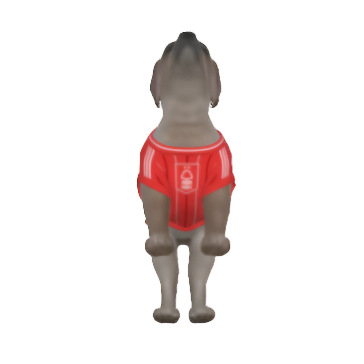 Nottingham Forest FC 25/26 Home Kit Inspired Personalized Tank