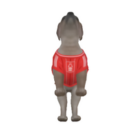 Nottingham Forest FC 25/26 Home Kit Inspired Personalized Tank