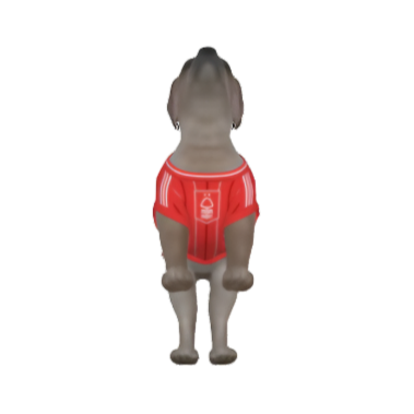 Southampton FC 25/26 Home Kit Inspired Personalized Tank