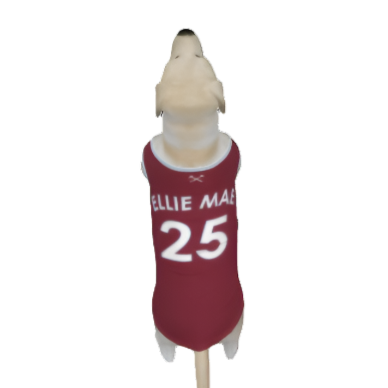 West Ham United FC 25/26 Home Kit Inspired Personalized Tank