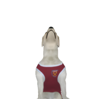 West Ham United FC 25/26 Home Kit Inspired Personalized Tank