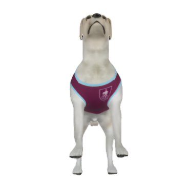 Burnley FC 25/26 Home Kit Inspired Personalized Tank