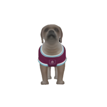 Burnley FC 25/26 Home Kit Inspired Personalized Tank