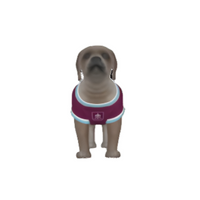 Burnley FC 25/26 Home Kit Inspired Personalized Tank