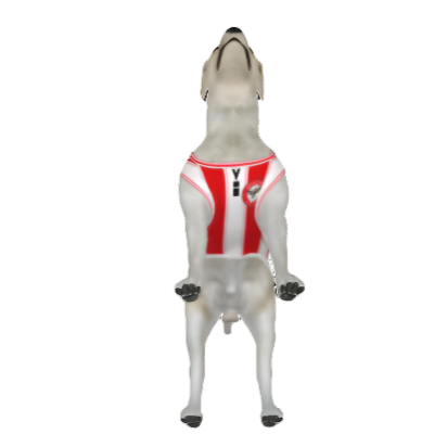 Brentford FC 25/26 Home Kit Inspired Personalized Tank