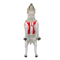 Brentford FC 25/26 Home Kit Inspired Personalized Tank