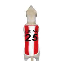 Brentford FC 25/26 Home Kit Inspired Personalized Tank