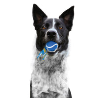 Los Angeles Chargers Pet Ball Launcher Toy