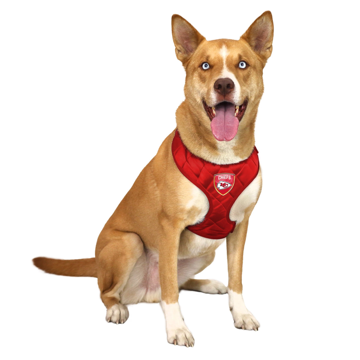 Kansas City Chiefs Velvet Harness