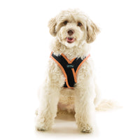 Escape Free Easy Fit X