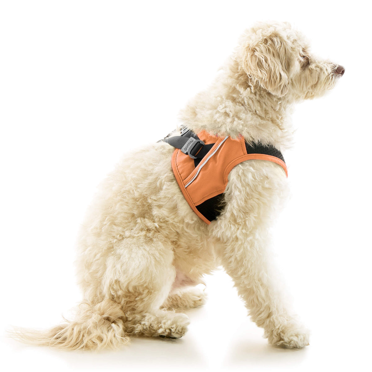 Escape Free Easy Fit X