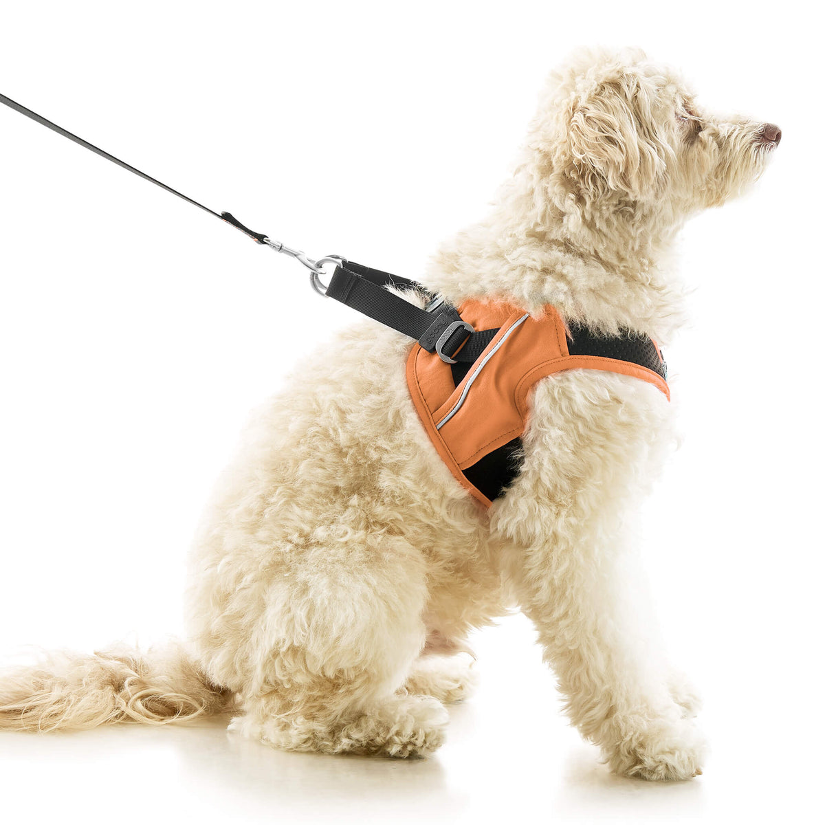 Escape Free Easy Fit X