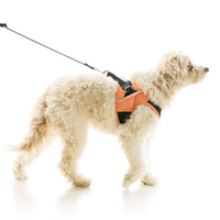 Escape Free Easy Fit X