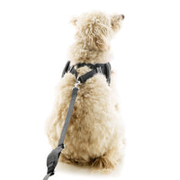 Escape Free Easy Fit X