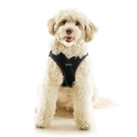 Escape Free Easy Fit X