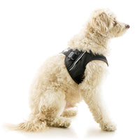 Escape Free Easy Fit X