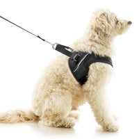 Escape Free Easy Fit X