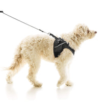 Escape Free Easy Fit X