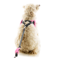 Escape Free Easy Fit X