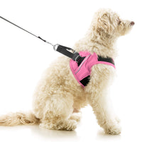 Escape Free Easy Fit X