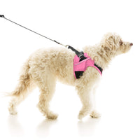 Escape Free Easy Fit X