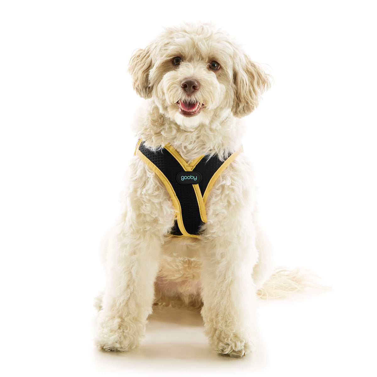 Escape Free Easy Fit X