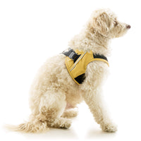 Escape Free Easy Fit X