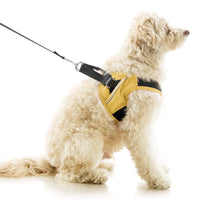 Escape Free Easy Fit X