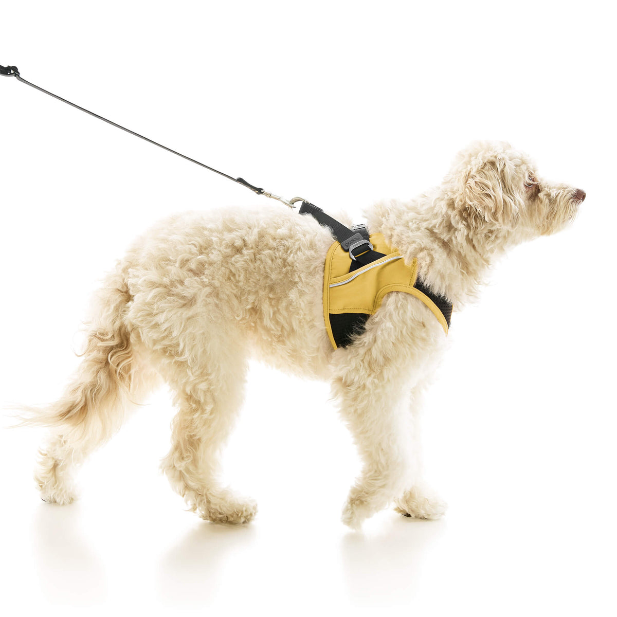 Escape Free Easy Fit X