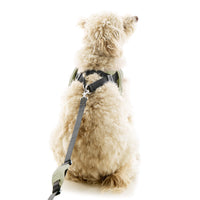 Escape Free Easy Fit X