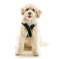 Escape Free Easy Fit X