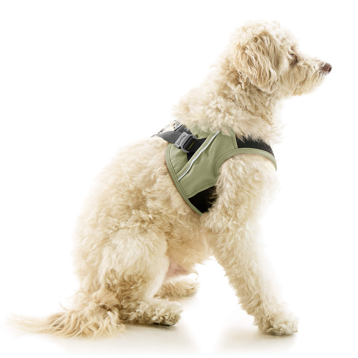 Escape Free Easy Fit X