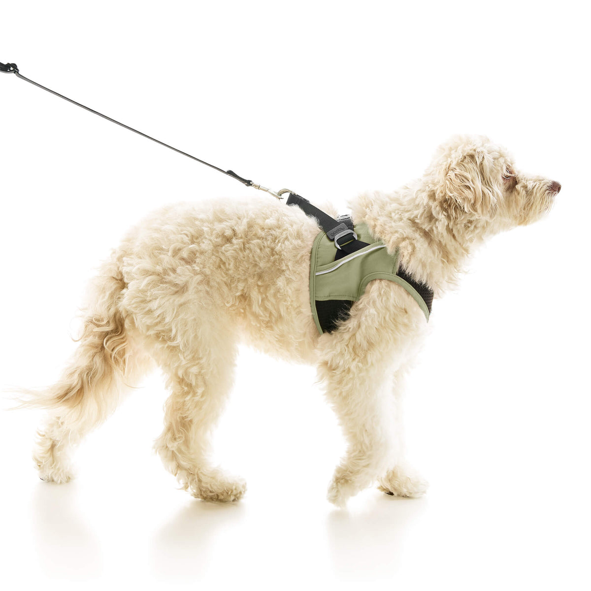 Escape Free Easy Fit X