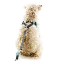 Escape Free Easy Fit X