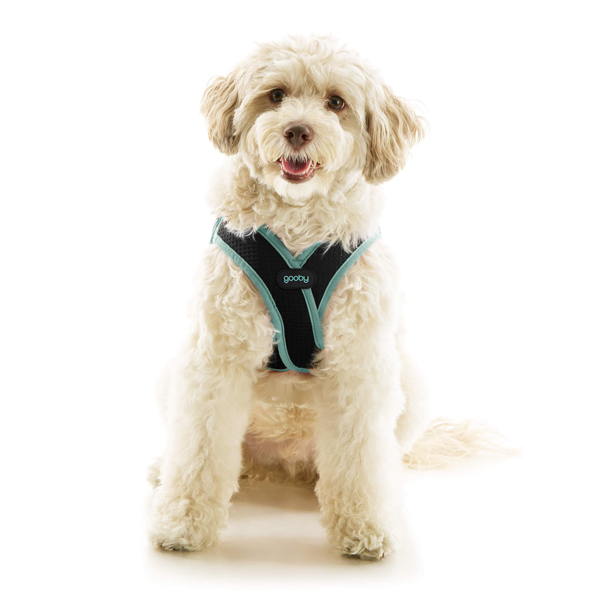 Escape Free Easy Fit X